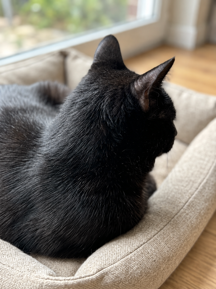Oliver – That little patch made me pay closer attention.