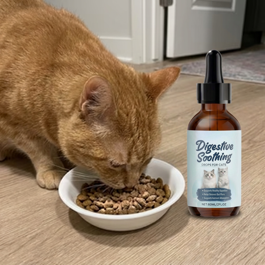 A little extra care for my cat's sensitive tummy.