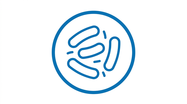 Lactobacillus acidophilus PROBIOTIC