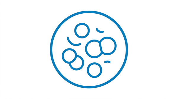 Enterococcus faecalis PROBIOTIC