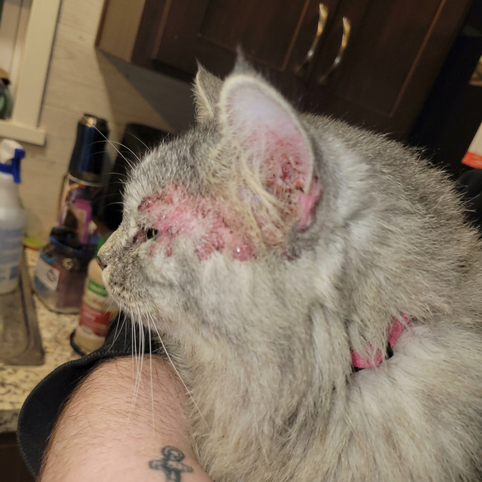Luna – I just wanted to help her feel more comfortable.