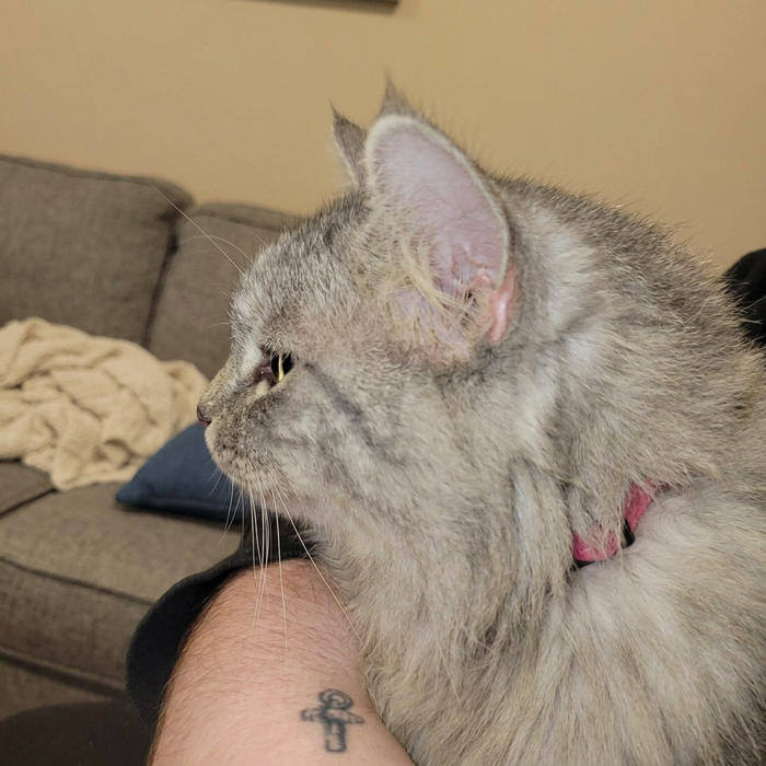 Luna – I just wanted to help her feel more comfortable.